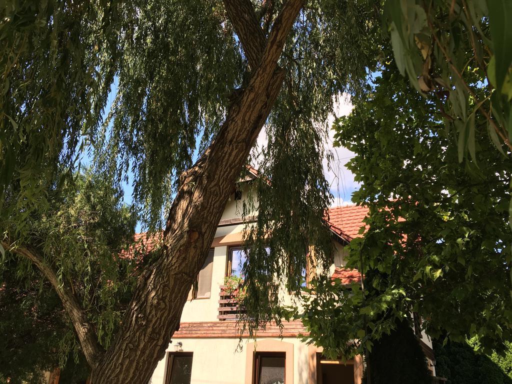 Vargapartman Szeged Esterno foto