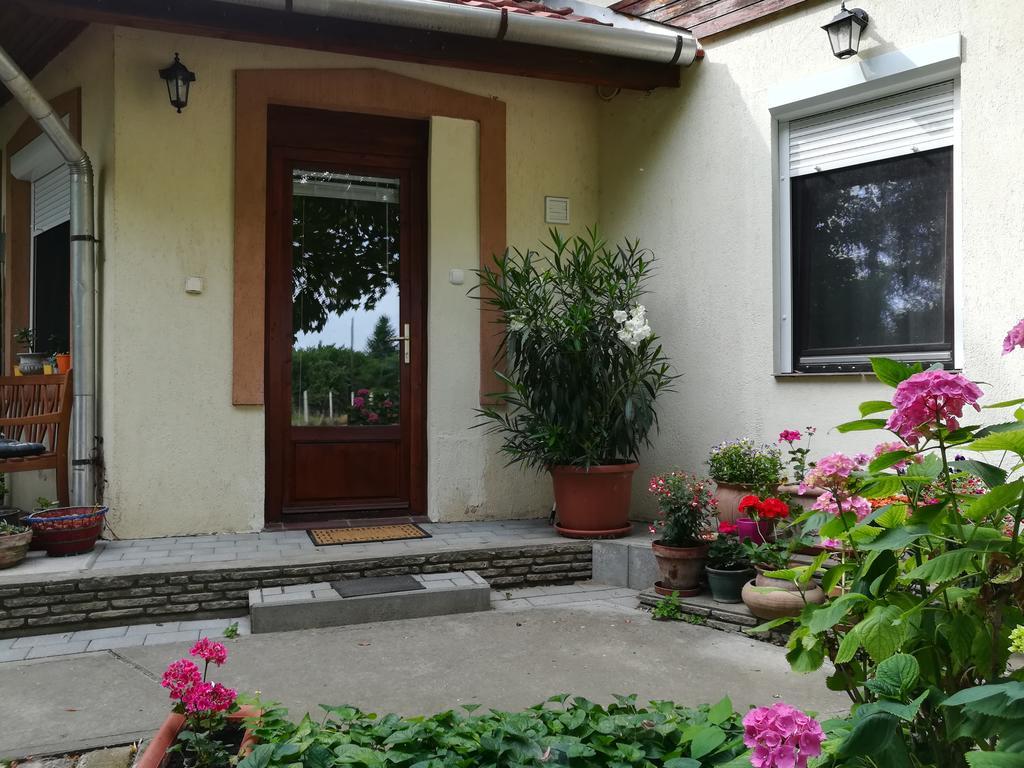 Vargapartman Szeged Esterno foto